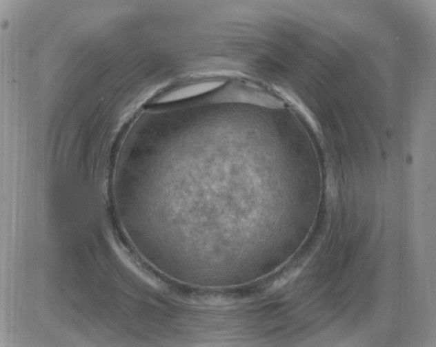 X0000085300533200703231900