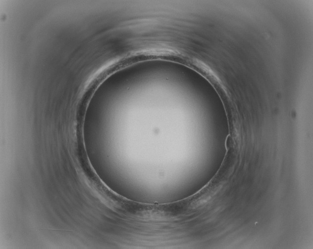 X0000085300535200703231901