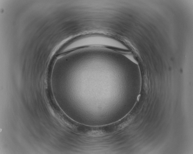 X0000085300536200703231901