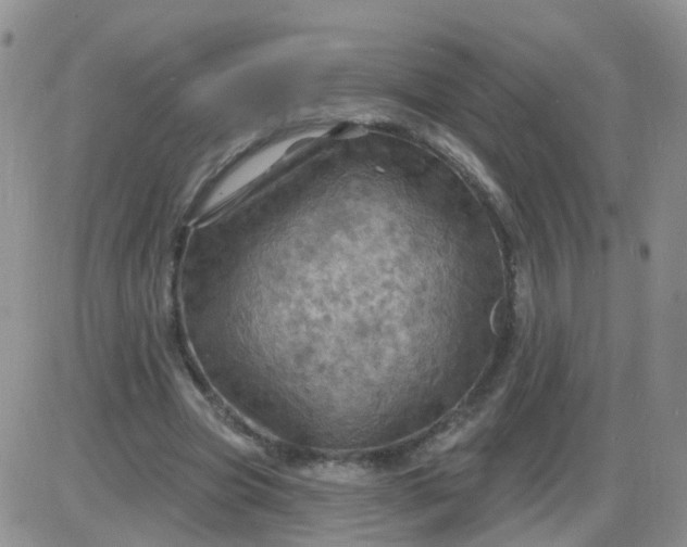 X0000085300537200703231901