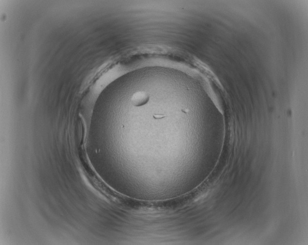 X0000085300538200703231901