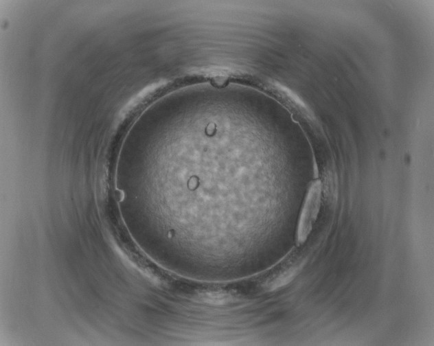 X0000085300540200703231901