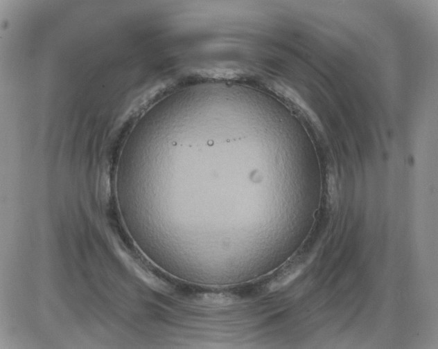 X0000085300541200703231901