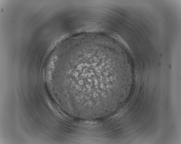 X0000085300542200703231901