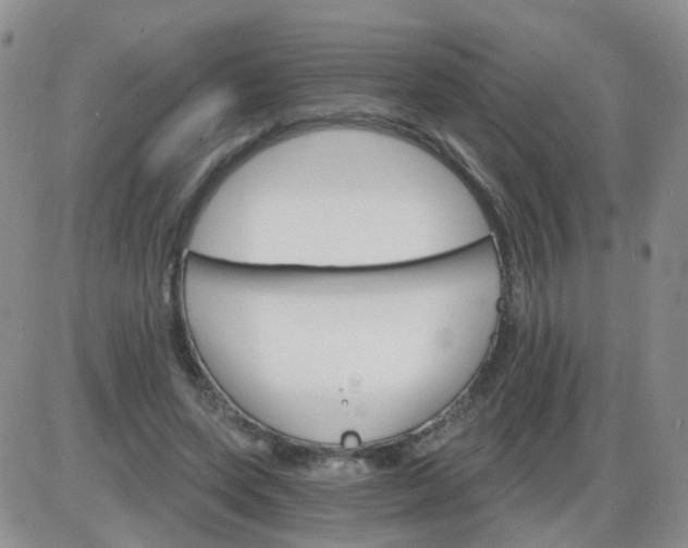 X0000085300543200703231901