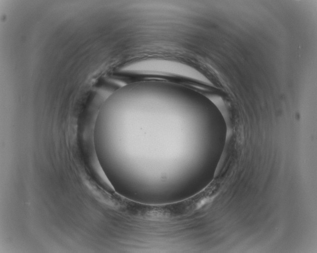 X0000085300546200703231901