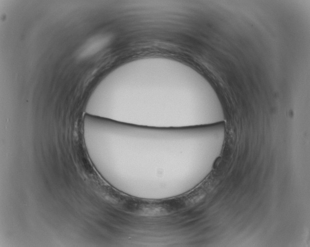 X0000085300547200703231901