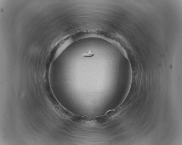 X0000085300548200703231901