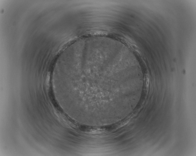 X0000085300550200703231901