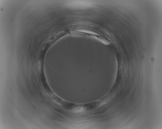 X0000085300551200703231901