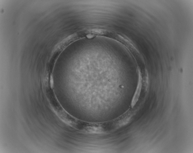 X0000085300552200703231901