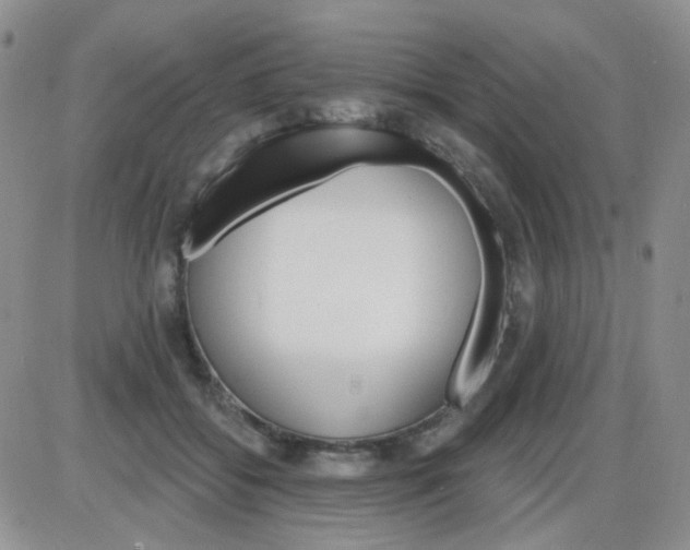 X0000085300556200703231901