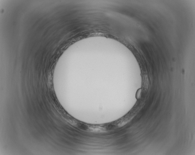 X0000085300557200703231901