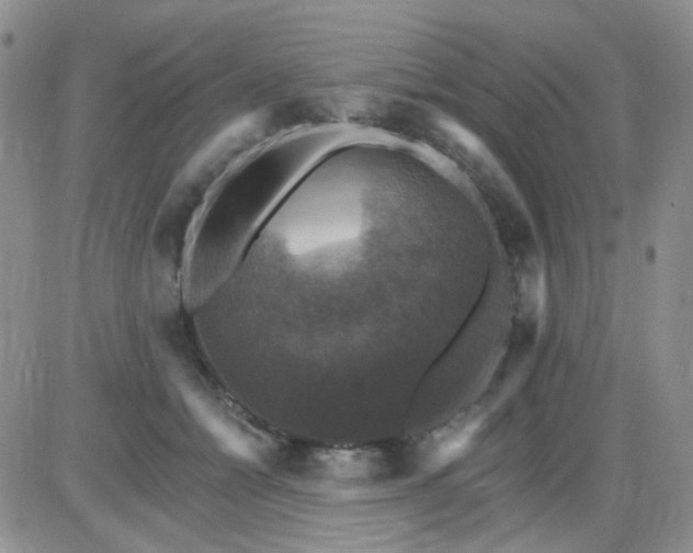 X0000085300558200703231901