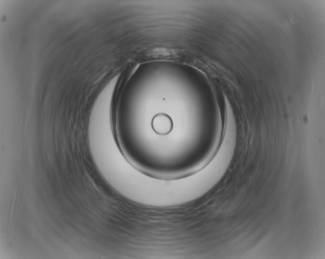 X0000085300560200703231901