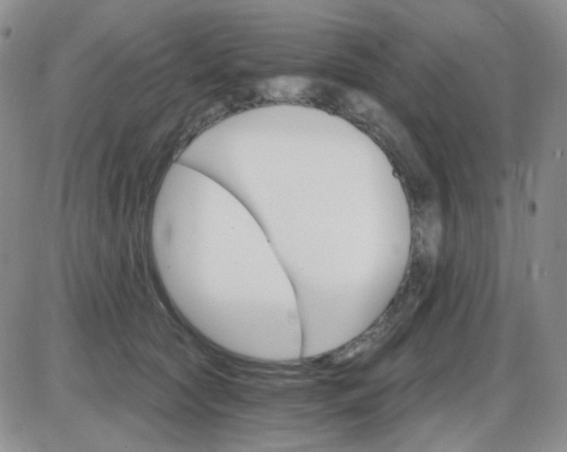 X0000085300561200703231901