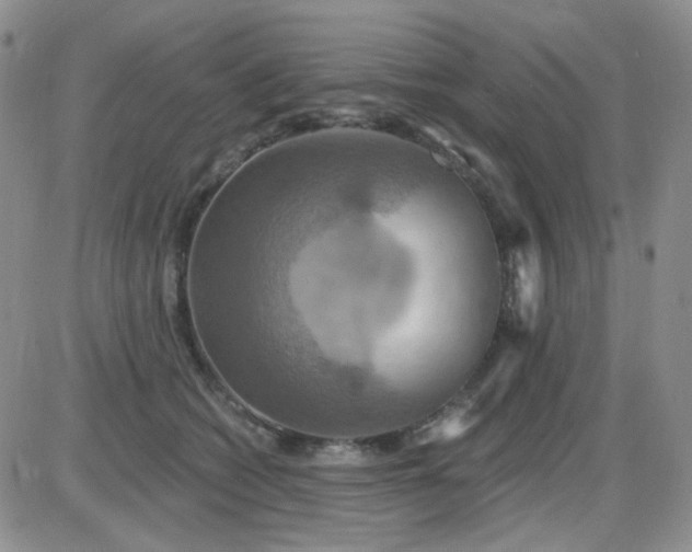 X0000085300562200703231901