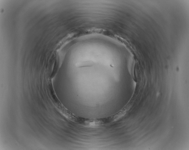 X0000085300564200703231901