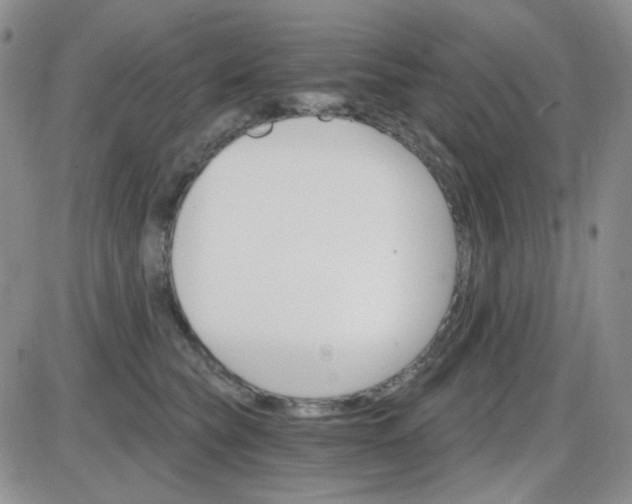 X0000085300565200703231901