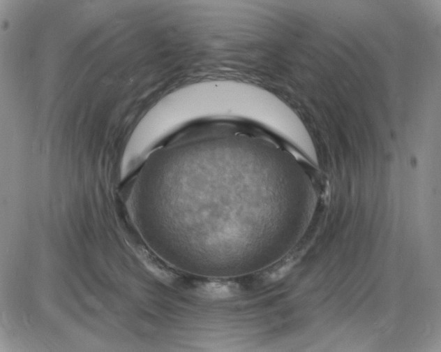 X0000085300566200703231901