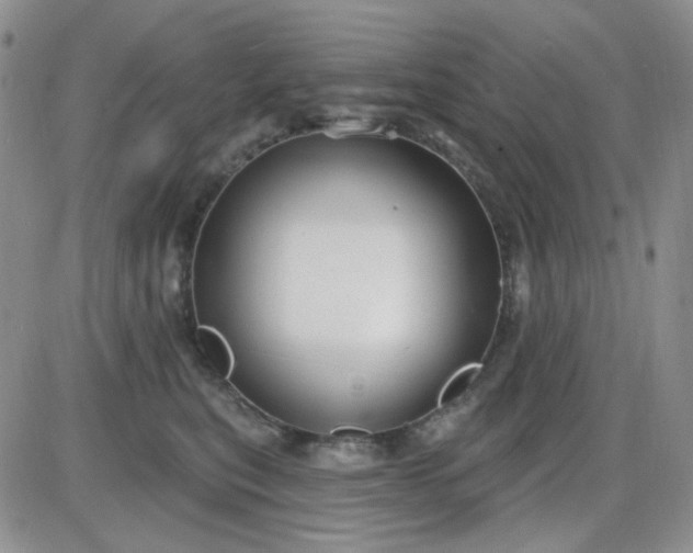 X0000085300567200703231901