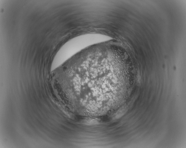 X0000085300569200703231901