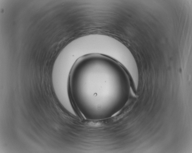 X0000085300570200703231901