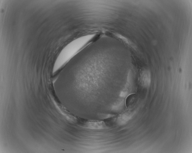 X0000085300571200703231901