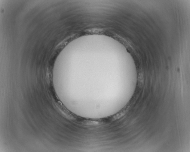 X0000085300572200703231901