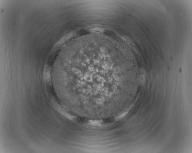 X0000085300573200703231901