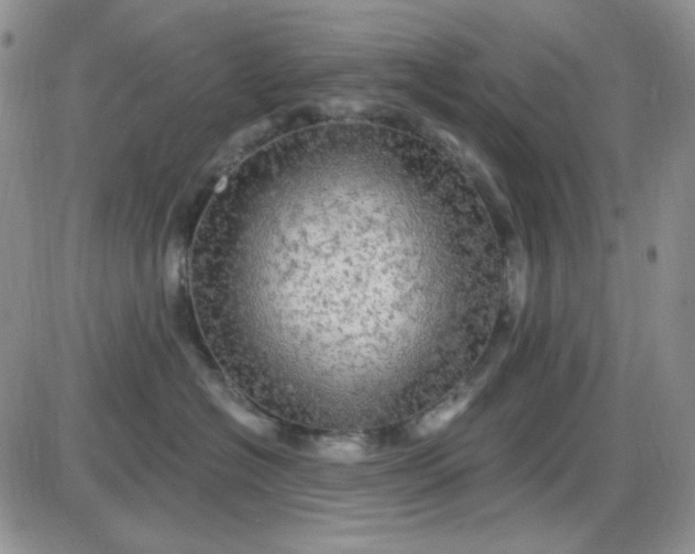 X0000085300574200703231901