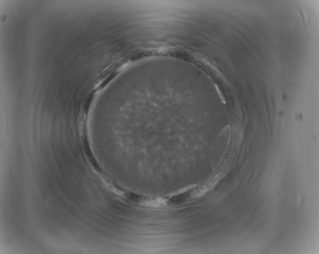 X0000085300576200703231901