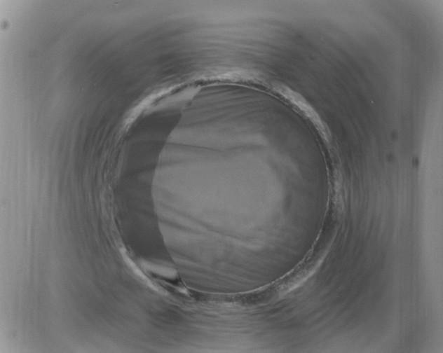 X0000085300577200703231900