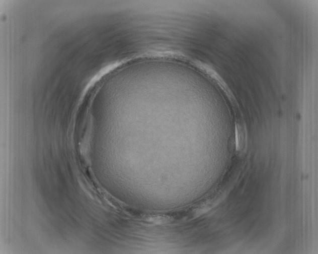 X0000085300579200703231900