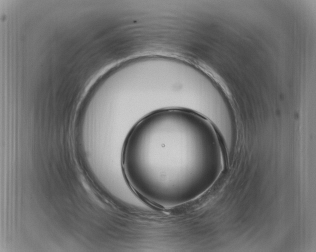 X0000085300580200703231900