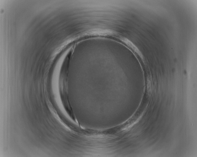 X0000085300581200703231900