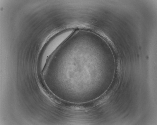 X0000085300582200703231900