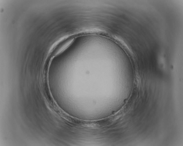 X0000085300583200703231900