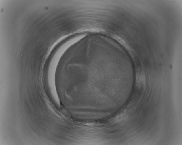 X0000085300584200703231900