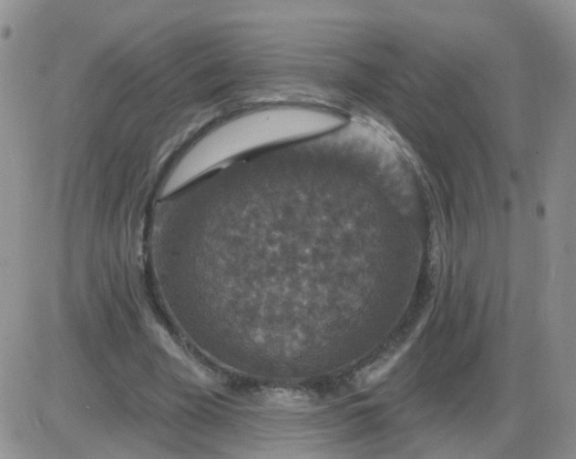 X0000085300585200703231900