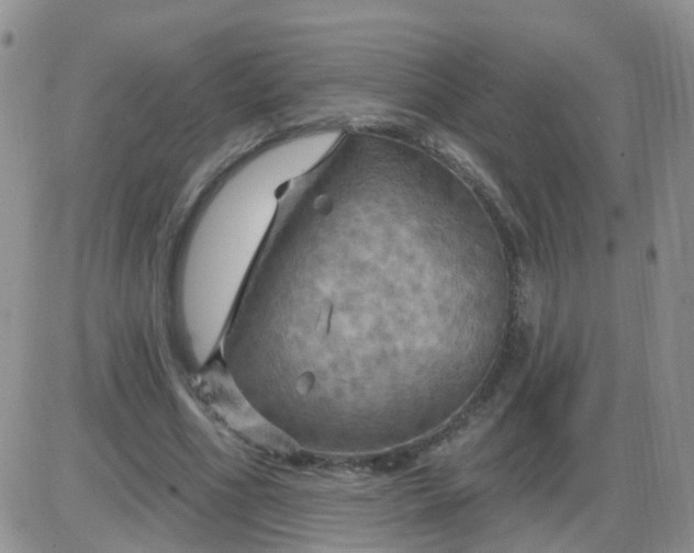 X0000085300586200703231900