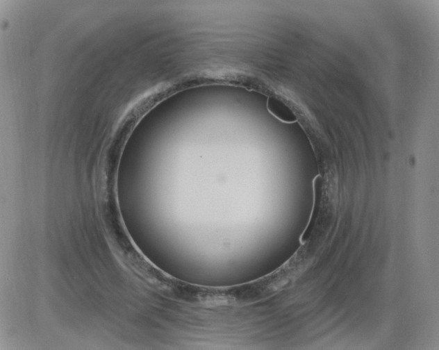 X0000085300587200703231900