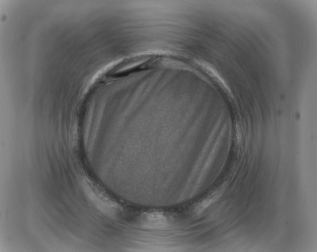 X0000085300588200703231900