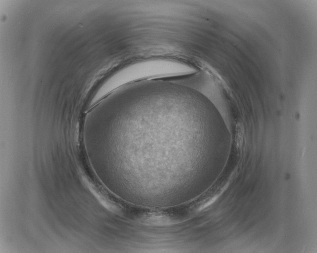 X0000085300589200703231900