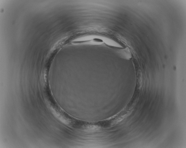 X0000085300590200703231900