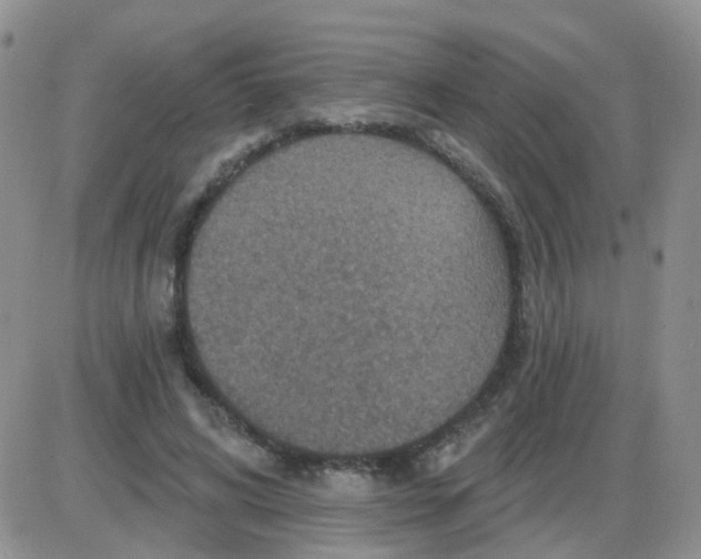 X0000085300592200703231900