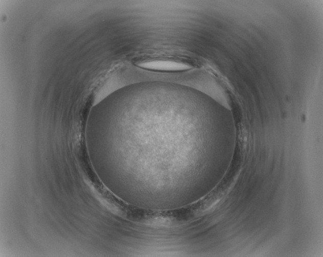 X0000085300593200703231900