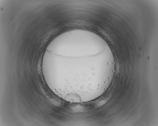 X0000085300594200703231900