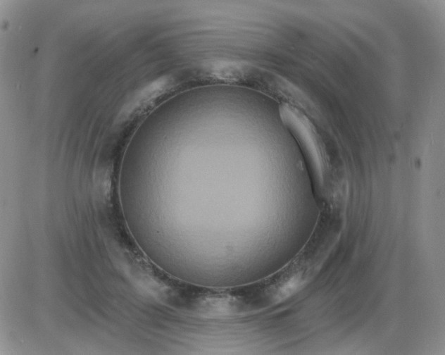 X0000085300595200703231900