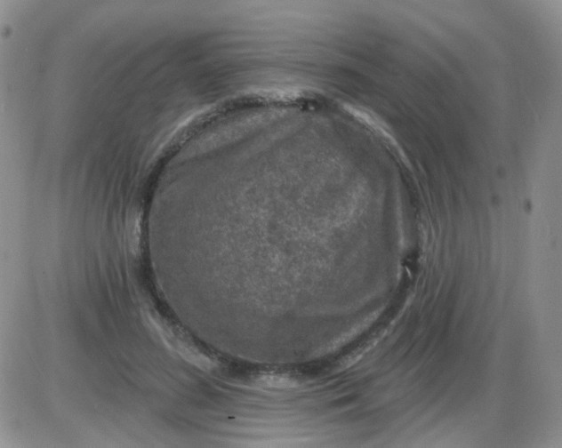 X0000085300596200703231900